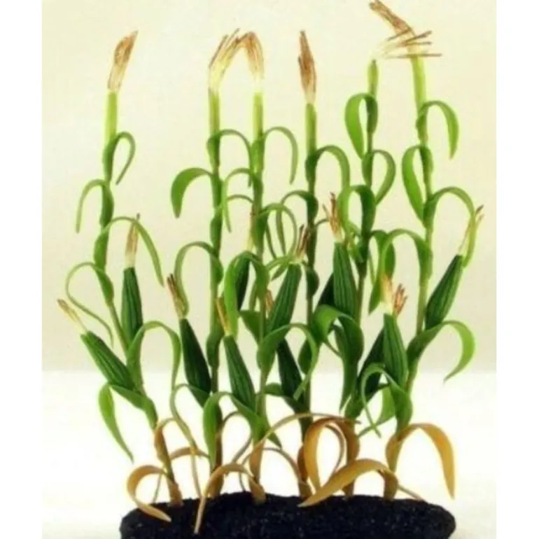 Cargo to Go 101-0950 O Corn Patch Stalks Detailed - Quality Trains and Accessories Galore