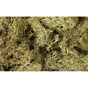 L161 - Lichen / Spring Green - Quality Trains and Accessories Galore